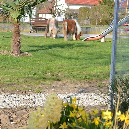 Hotel - Restaurant Hirschen - Werneths Landgasthof Beim Europa- Park Rust Rheinhausen Luaran gambar